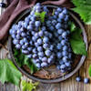 bluevineyard